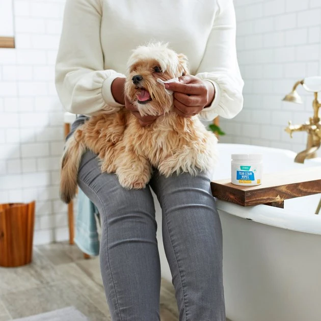 Frisco Tear Stain Eye Wipes for Puppies & Kittens, 45 count 4 Frisco Tear Stain Eye Wipes for Puppies & Kittens, 45 count - Image 2