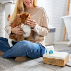 Frisco Tear Stain Eye Wipes for Puppies & Kittens, 45 count 8 Frisco Tear Stain Eye Wipes for Puppies & Kittens, 45 count -FRISCO Sales 222171 PT2. SY630 V1602846989