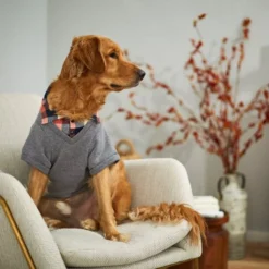 Frisco Plaid Dog & Cat Sweatshirt -FRISCO Sales 223685 PT7. SY630 V1599921732