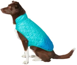Frisco Packable Lightweight Gradient Insulated Dog & Cat Jacket
