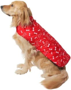 Frisco Patterned Bones Insulated Dog & Cat Coat