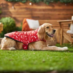 Frisco Patterned Bones Insulated Dog & Cat Coat -FRISCO Sales 223953 PT7. SY630 V1601578878