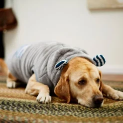 Frisco Plush Hooded Insulated Dog & Cat Coat 15 Frisco Plush Hooded Insulated Dog & Cat Coat -FRISCO Sales 223969 PT7. SY630 V1601579213