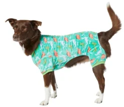 Frisco Dinosaurs Dog & Cat Cozy Fleece PJs