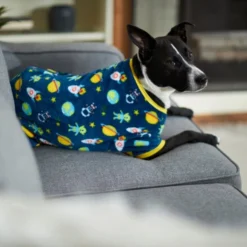 Frisco Outer Space Dog & Cat Cozy Fleece PJs -FRISCO Sales 224125 PT7. SY630 V1599923554