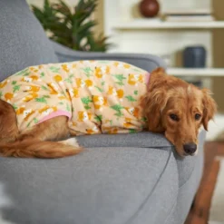 Frisco Foxes Dog & Cat Cozy Fleece PJs -FRISCO Sales 224146 PT7. SY630 V1599923544