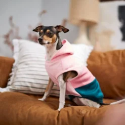 Frisco Colorblock Dog & Cat Sleeveless Hoodie -FRISCO Sales 224258 PT7. SY630 V1599924135