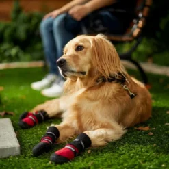 Frisco Anti-Slip Extended Cuff Length Dog Boots -FRISCO Sales 224374 PT7. SY630 V1601577663