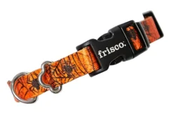 Frisco Orange Cobwebs Polyester Dog Collar
