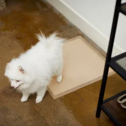 Frisco Large Eco-Conscious Dog Training & Potty Pads, 22 x 23-in, Unscented -FRISCO Sales 227438 PT6. SY630 V1604701050