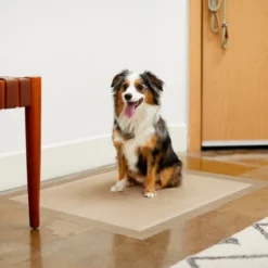 Frisco Extra Large Eco-Conscious Dog Training & Potty Pads, 28 x 34-in, Unscented -FRISCO Sales 227441 PT6. SY630 V1604700713