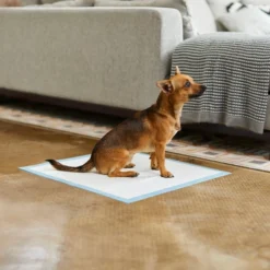 Frisco Non-Skid Ultra Premium Dog Training & Potty Pads, 22 x 23-in -FRISCO Sales 227447 PT6. SY630 V1604701029