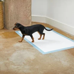 Frisco Giant Non-Skid Ultra Premium Dog Training & Potty Pads, 27.5 x 44-in -FRISCO Sales 227453 PT6. SY630 V1604701908