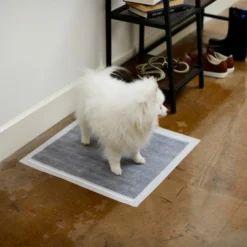 Frisco Charcoal Dog Training & Potty Pads, 22 x 23-in, Unscented -FRISCO Sales 227456 PT6. SY630 V1604701986