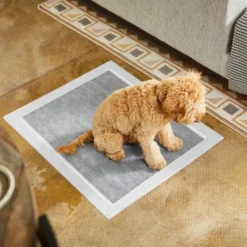 Frisco Extra Large Charcoal Dog Training & Potty Pads, 28 x 34-in, Unscented 11 Frisco Extra Large Charcoal Dog Training & Potty Pads, 28 x 34-in, Unscented -FRISCO Sales 227459 PT6. SY630 V1604701315