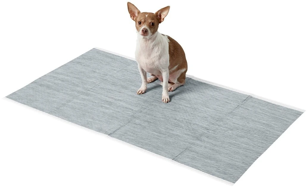 Frisco Giant Charcoal Dog Training & Potty Pads, 27.5 x 44-in, Unscented 4 Frisco Giant Charcoal Dog Training & Potty Pads, 27.5 x 44-in, Unscented - Image 2