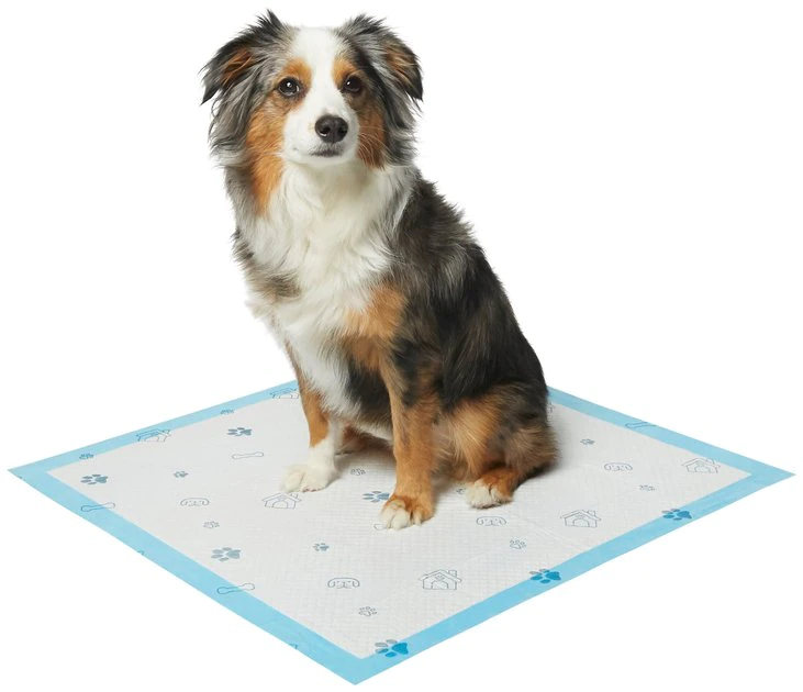 Frisco Printed Dog Training & Potty Pads, 22 x 23-in, Unscented 4 Frisco Printed Dog Training & Potty Pads, 22 x 23-in, Unscented - Image 2