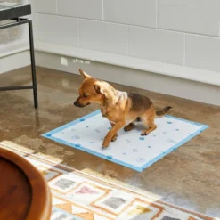 Frisco Printed Dog Training & Potty Pads, 22 x 23-in, Unscented 11 Frisco Printed Dog Training & Potty Pads, 22 x 23-in, Unscented -FRISCO Sales 227465 PT6. SY630 V1604701913