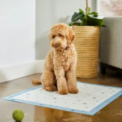 Frisco Extra Large Printed Dog Training & Potty Pads, 28 x 34-in, Unscented 11 Frisco Extra Large Printed Dog Training & Potty Pads, 28 x 34-in, Unscented -FRISCO Sales 227468 PT6. SY630 V1604701633