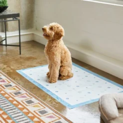 Frisco Giant Printed Dog Training & Potty Pads, 27.5 x 44-in, Unscented 11 Frisco Giant Printed Dog Training & Potty Pads, 27.5 x 44-in, Unscented -FRISCO Sales 227471 PT6. SY630 V1604701622