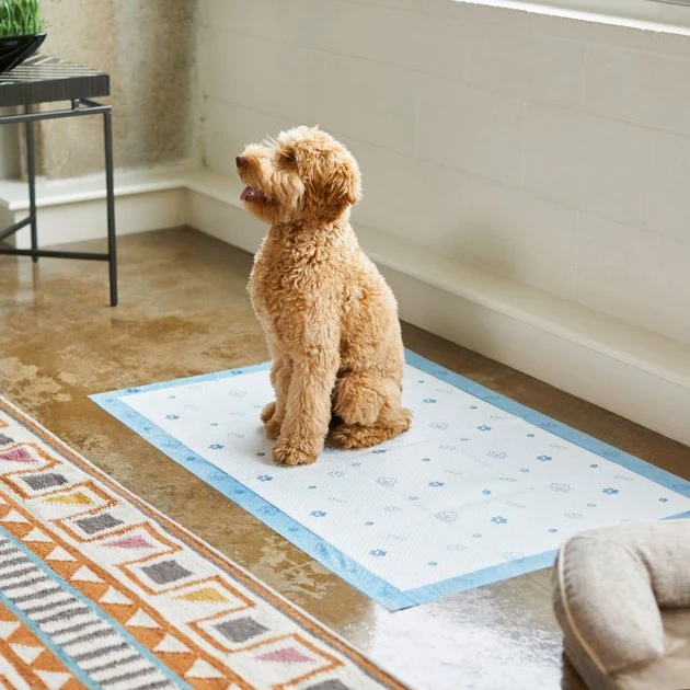 Frisco Giant Printed Dog Training & Potty Pads, 27.5 x 44-in, Unscented 7 Frisco Giant Printed Dog Training & Potty Pads, 27.5 x 44-in, Unscented - Image 5