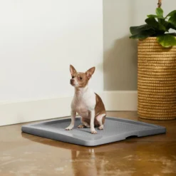 Frisco Training Pad Holder -FRISCO Sales 227474 PT6. SY630 V1604701643