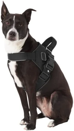 Frisco Big Dog Harness -FRISCO Sales 227874 PT4. SY630 V1603409794