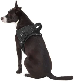 Frisco Big Dog Harness -FRISCO Sales 227874 PT5. SY630 V1603417907