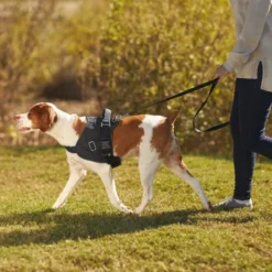 Frisco Big Dog Harness -FRISCO Sales 227874 PT6. SY630 V1604446013