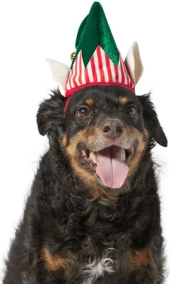Frisco Holiday Elf Dog & Cat Hat
