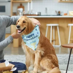 Frisco Happy Hanukkah Dog & Cat Bandana -FRISCO Sales 228980 PT5. SY630 V1637684347