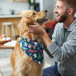 Frisco Holiday & New Years Dog & Cat Bandana, 2 pack -FRISCO Sales 228983 PT6. SY630 V1637659015