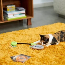 Frisco Retro CD Player Plush Cat Toy with Catnip -FRISCO Sales 230262 PT3. SY630 V1602639710