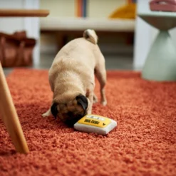 Frisco Retro Cassette Dense Foam Squeaky Dog Toy -FRISCO Sales 230296 PT3. SY630 V1601946962