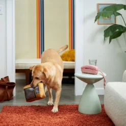 Frisco Retro Television Ballistic Nylon Plush Squeaky Dog Toy -FRISCO Sales 230308 PT3. SY630 V1601947325