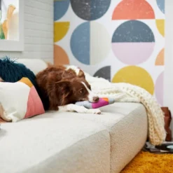 Frisco Retro Lava Lamp Ballistic Nylon Plush Squeaky Dog Toy 7 Frisco Retro Lava Lamp Ballistic Nylon Plush Squeaky Dog Toy -FRISCO Sales 230310 PT3. SY630 V1601947330