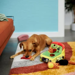 Frisco Retro Smack-a-Squirrel Hide & Seek Plush Puzzle Squeaky Dog Toy 9 Frisco Retro Smack-a-Squirrel Hide & Seek Plush Puzzle Squeaky Dog Toy -FRISCO Sales 230313 PT3. SY630 V1601947334