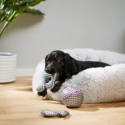 Frisco Retro Plush Squeaky Disco Dog Toy, 3 count -FRISCO Sales 230349 PT3. SY630 V1600973789