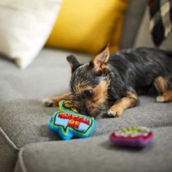 Frisco Retro Plush Squeaky Comic Book Bubble Dog Toy, 3 count -FRISCO Sales 230353 PT3. SY630 V1600973826