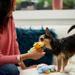 Frisco Retro Colorful Pony Plush Squeaky Dog Toy 7 Frisco Retro Colorful Pony Plush Squeaky Dog Toy -FRISCO Sales 230357 PT3. SY630 V1601947361