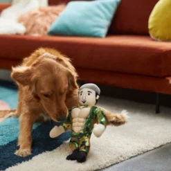 Frisco Retro Camo Hero Muscle Plush Squeaky Dog Toy -FRISCO Sales 230375 PT3. SY630 V1602639726