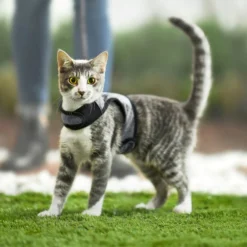 Frisco Wrap Cat Harness 14 Frisco Wrap Cat Harness -FRISCO Sales 230690 PT5. SY630 V1601080866