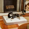 Frisco Orthopedic Pillow Cat & Dog Bed 1 Frisco Orthopedic Pillow Cat & Dog Bed -FRISCO Sales 230709 MAIN. SY630 V1602689222
