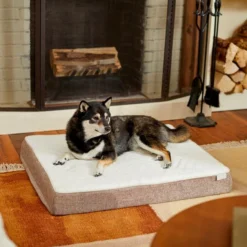 Frisco Orthopedic Pillow Cat & Dog Bed