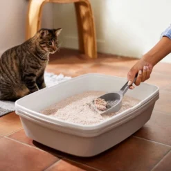 Frisco Natural Lightly Scented Clumping Grass Cat Litter -FRISCO Sales 230714 PT4. SY630 V1659023184