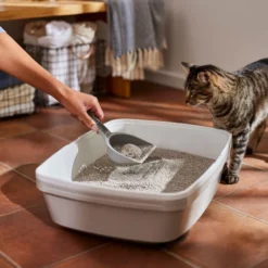 Frisco Lightweight Scented Clumping Cat Litter -FRISCO Sales 230718 PT4. SY630 V1659023572