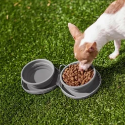 Frisco Travel Collapsible Silicone Dog & Cat Bowl, Gray -FRISCO Sales 232062 PT8. SY630 V1605754928