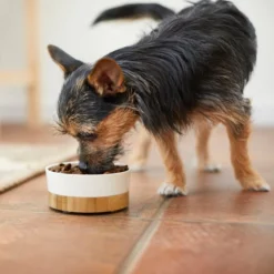 Frisco Melamine Dog & Small Pet Bowl with Bamboo Base 10 Frisco Melamine Dog & Small Pet Bowl with Bamboo Base -FRISCO Sales 232065 PT2. SY630 V1608596249