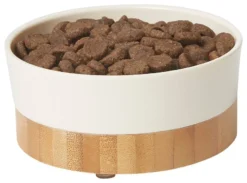 Frisco Melamine Dog & Small Pet Bowl with Bamboo Base 11 Frisco Melamine Dog & Small Pet Bowl with Bamboo Base -FRISCO Sales 232065 PT3. SY630 V1608595365