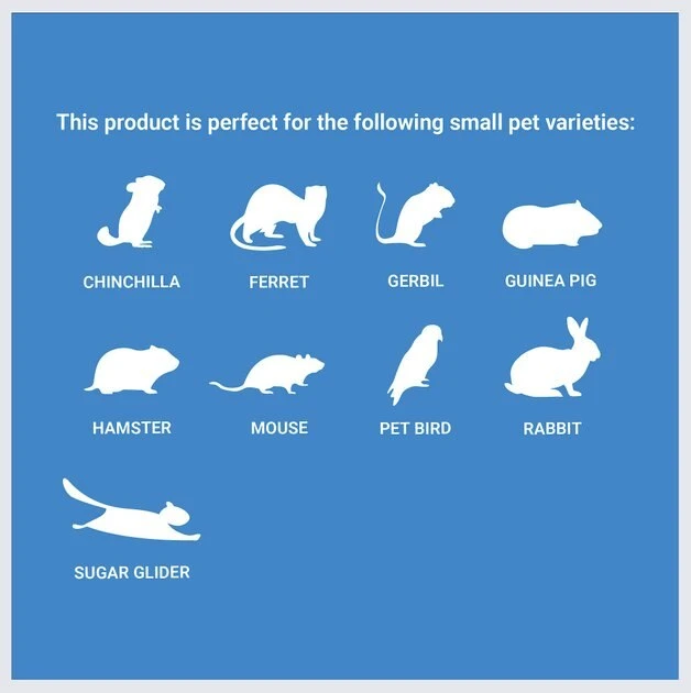 Frisco Melamine Dog & Small Pet Bowl with Bamboo Base 8 Frisco Melamine Dog & Small Pet Bowl with Bamboo Base - Image 7